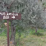Domus Antiqua Bed and Breakfast 3*
