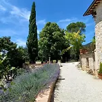 Domus Antiqua