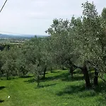 Domus Antiqua 3*
