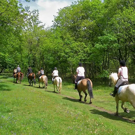 Domus Antiqua Bed & Breakfast 3*