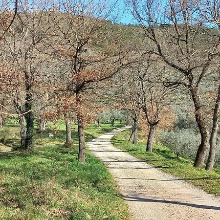 Domus Antiqua Oda ve Kahvaltı Spello