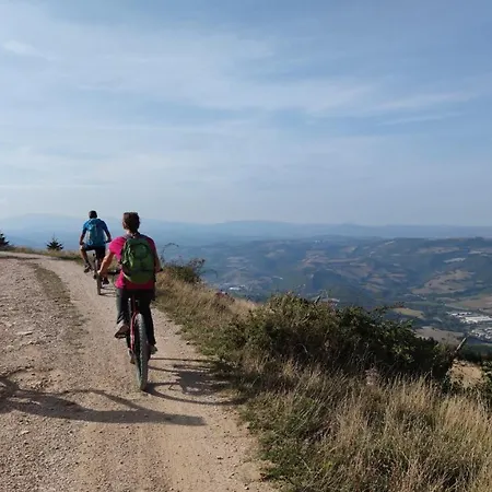 Domus Antiqua Bed & Breakfast