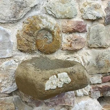 Domus Antiqua Oda ve Kahvaltı *
