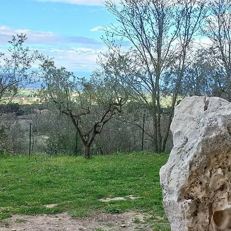 לינה וארוחת בוקר Domus Antiqua