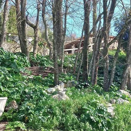 Bed & Breakfast Domus Antiqua