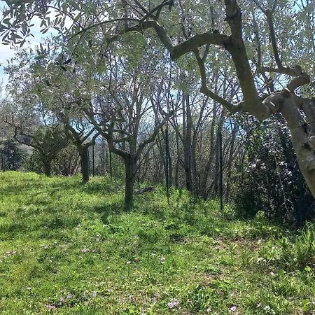 Domus Antiqua Bed & Breakfast