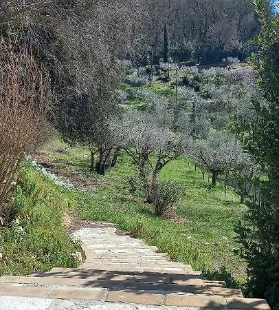 Bed & Breakfast Domus Antiqua 3*