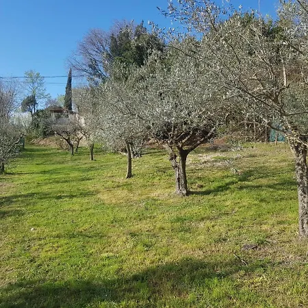Domus Antiqua 3*