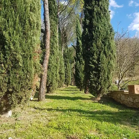 Bed & Breakfast Domus Antiqua 3*