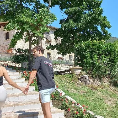 Bed & Breakfast Domus Antiqua