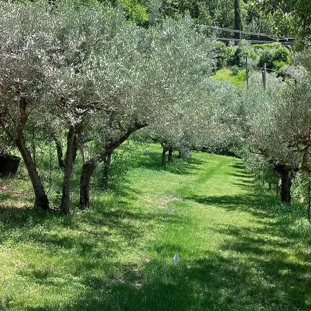 Domus Antiqua Bed & Breakfast Spello