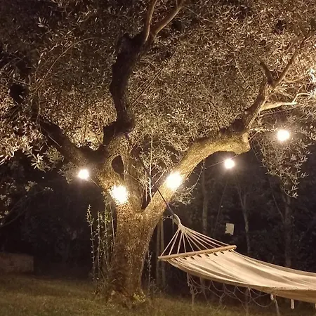 Domus Antiqua Bed & Breakfast Spello