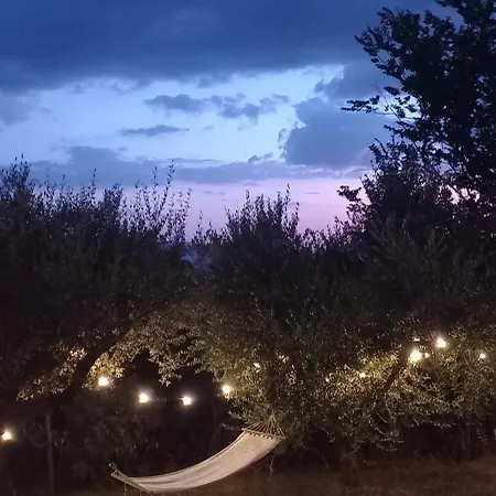 Bed & Breakfast Domus Antiqua 3*