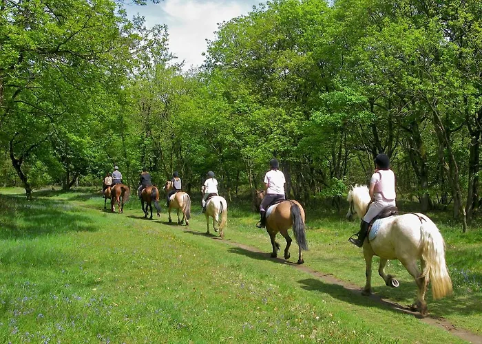 Domus Antiqua Nocleg ze śniadaniem 3*