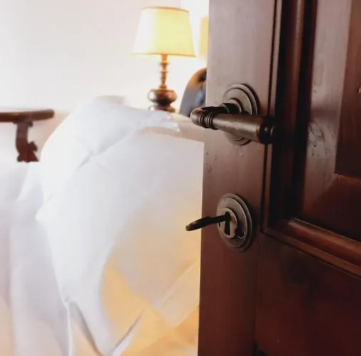 فندق مبيت وإفطار Domus Antiqua 3*