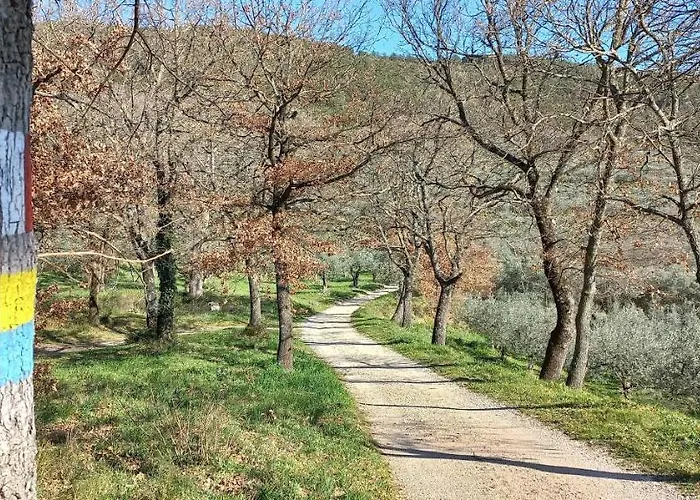 Domus Antiqua Отель типа 