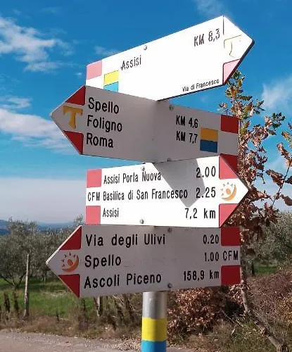 Domus Antiqua فندق مبيت وإفطار