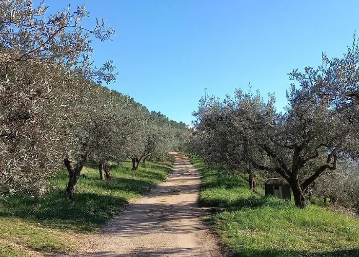 Nocleg ze śniadaniem Domus Antiqua 3*