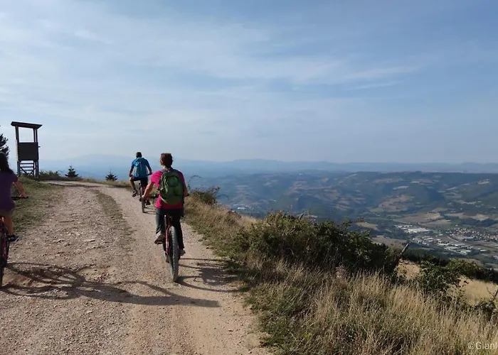 Domus Antiqua Отель типа 