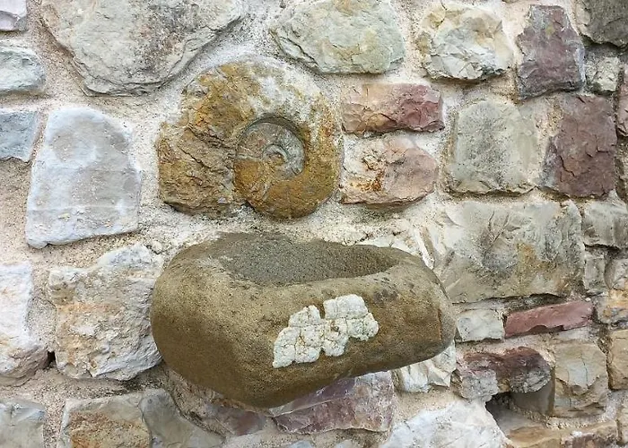 Domus Antiqua Nocleg ze śniadaniem 3*