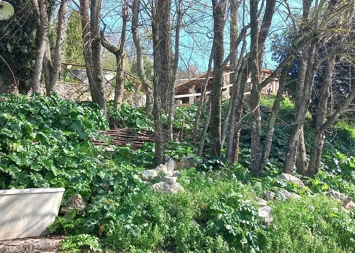 Nocleg ze śniadaniem Domus Antiqua