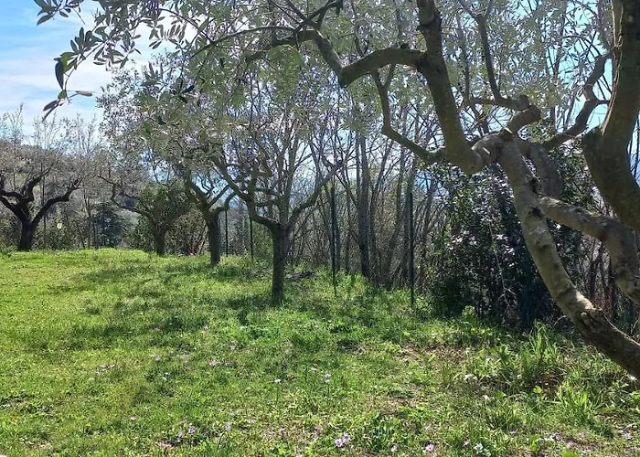 Domus Antiqua فندق مبيت وإفطار