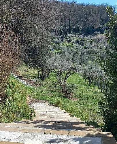 فندق مبيت وإفطار Domus Antiqua 3*