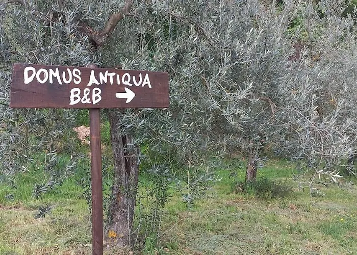 Domus Antiqua Nocleg ze śniadaniem 3*