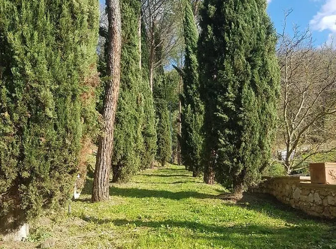 Nocleg ze śniadaniem Domus Antiqua 3*