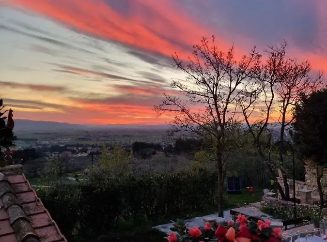 Domus Antiqua Nocleg ze śniadaniem 3*