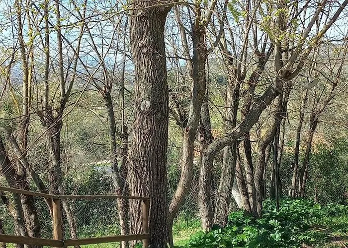 فندق مبيت وإفطار Domus Antiqua