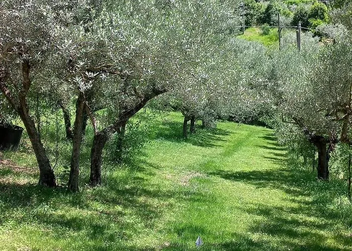 Domus Antiqua Nocleg ze śniadaniem Spello