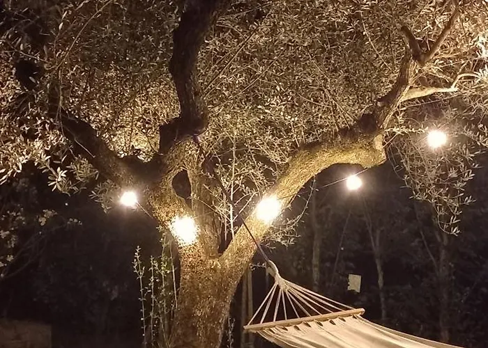 Domus Antiqua Отель типа 