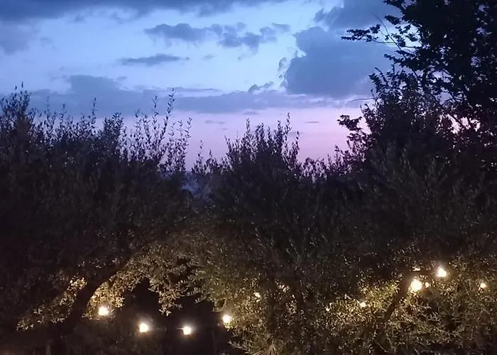 Nocleg ze śniadaniem Domus Antiqua 3*